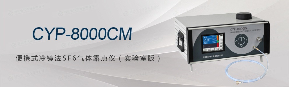CYP-8000CM 便攜式冷鏡法SF6氣體露點儀(實驗室版)